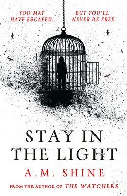 Stay in the Light