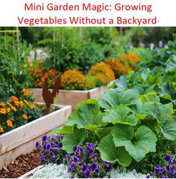 Mini Garden Magic: Growing Vegetables Without a Backyard Mini Garden Magic: Growing Vegetables Without a Backyard