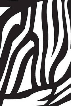 SM Spiral N/book+Elastic,Zebra