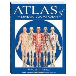 Atlas Of Human Anatomy