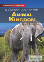 A Closer Look at the Animal Kingdom