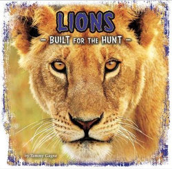 Lions Lions
