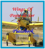 Wings of Ponte de Sor