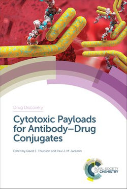 Cytotoxic Payloads for Antibody–Drug Conjugates