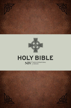 NIV Celtic Bible NIV Celtic Bible