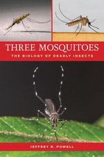 Three Mosquitoes