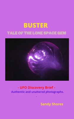 Buster - Tale of the Lone Space Gem