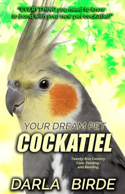 Your Dream Pet Cockatiel