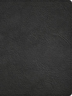 CSB Men of Character Bible, Revised and Updated, Black Genuine Leather, Indexed