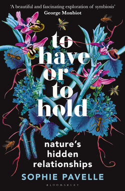 To Have or to Hold
