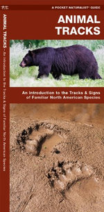 Animal Tracks