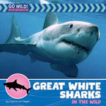 Great White Sharks in the Wild