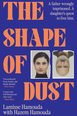The Shape of Dust