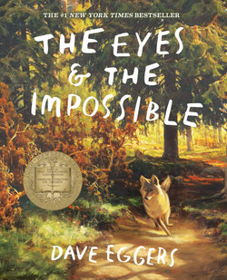 The Eyes and the Impossible The Eyes and the Impossible
