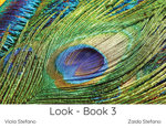 Look - Book 3, Series 2