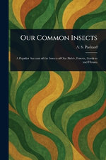 Our Common Insects