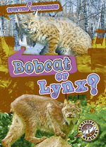 Bobcat or Lynx?
