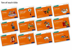 Read Write Inc. Phonics: Orange Set 4 Storybooks Pack Of 120