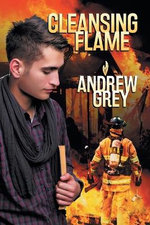 Cleansing Flame Volume 2