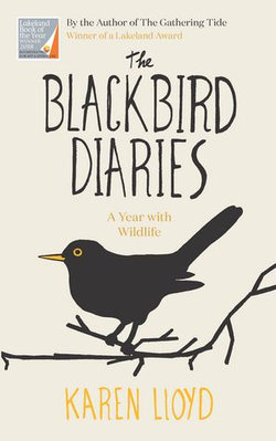 The Blackbird Diaries The Blackbird Diaries
