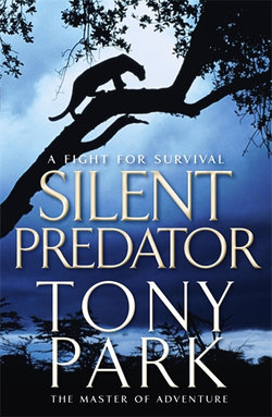 Silent Predator Silent Predator