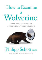 How to Examine a Wolverine How to Examine a Wolverine