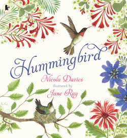 Hummingbird