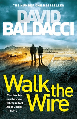 Walk the Wire: an Amos Decker Novel 6