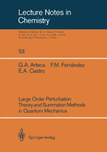 Large Order Perturbation Theory and Summation Methods in Quantum Mechanics
