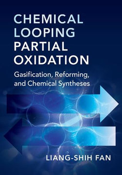 Chemical Looping Partial Oxidation Chemical Looping Partial Oxidation