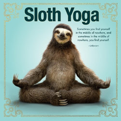 Sloth Yoga