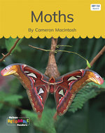 Moths (Set 7.2, Book 9)