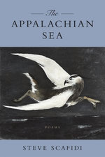 The Appalachian Sea
