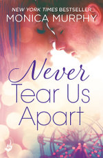 Never Tear Us Apart: Never Series 1