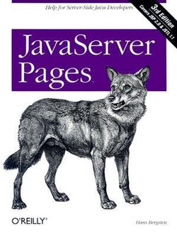 JavaServer Pages 3e