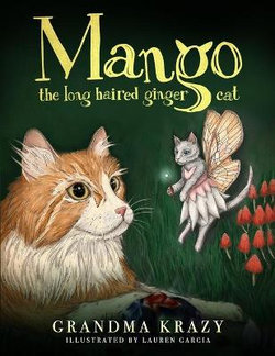 Mango the Long Haired Ginger Cat