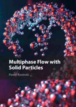 Multiphase Flow with Solid Particles