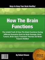 How The Brain Functions