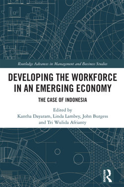Developing the Workforce in an Emerging Economy