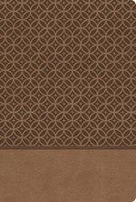 King James Study Bible