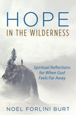 Hope in the Wilderness Hope in the Wilderness