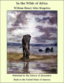 In the Wilds of Africa