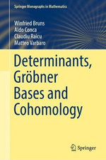 Determinants, Groebner Bases and Cohomology