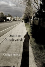 Sunken Boulevards
