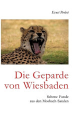 Die Geparde von Wiesbaden