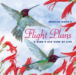 Flight Plans