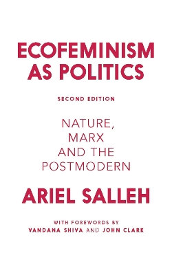 Ecofeminism As Politics