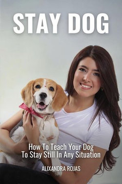 Stay Dog How To Teach Your Dog To Stay Still In Any Situation Stay Dog How To Teach Your Dog To Stay Still In Any Situation