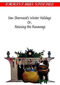 Nan Sherwood's Winter Holidays Or, Rescuing the Runaways