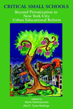 Critical Small Schools